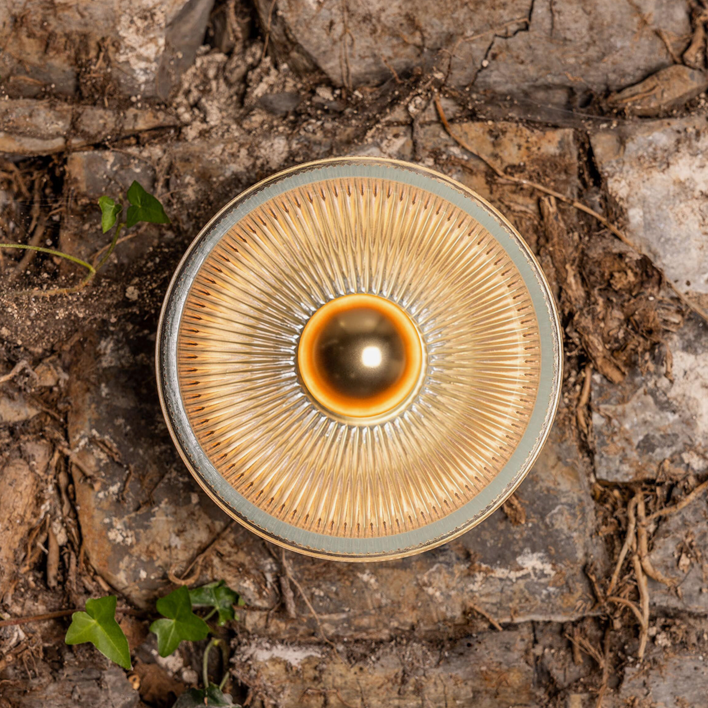 ECLIPSE - Prismatic Brass Glass Dish Wall Light