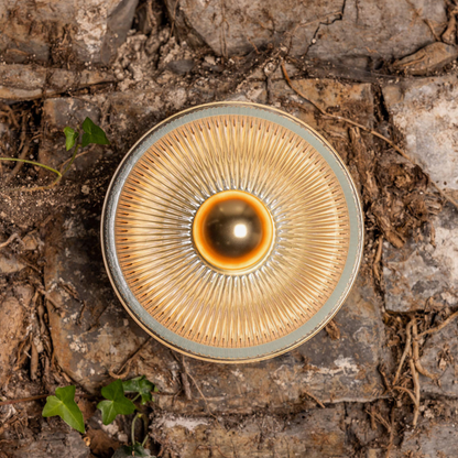 ECLIPSE - Prismatic Brass Glass Dish Wall Light