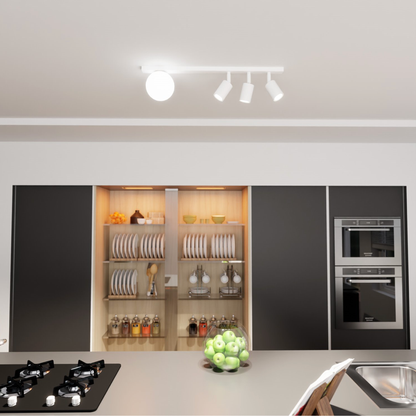 TAKLAMPA BASTER 4 - Spotlights med glob