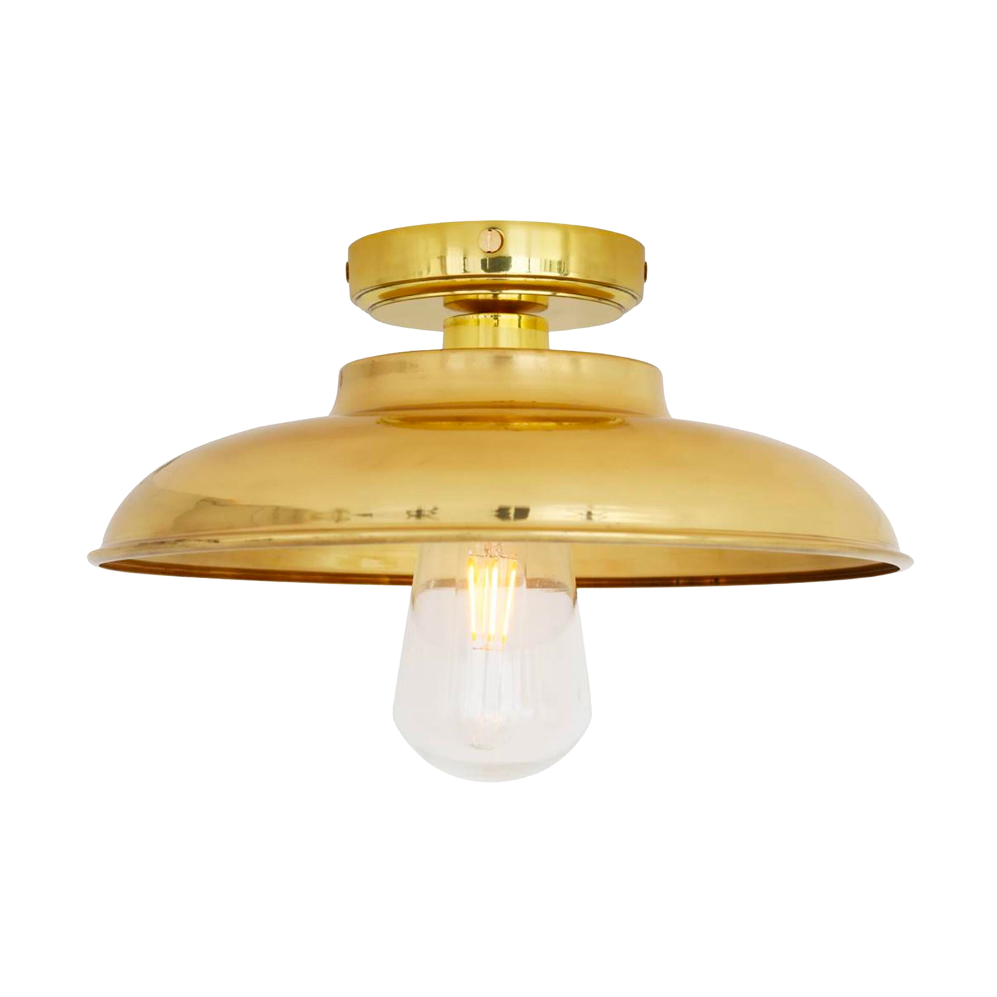 DARYA - Industrial Brass Ceiling Light 32cm IP65