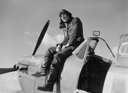 SPITFIRE Model