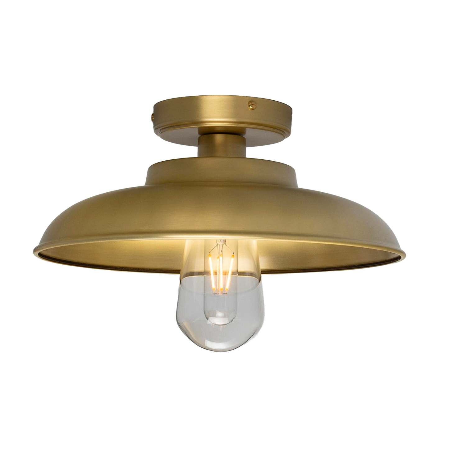 DARYA - Industrial Brass Ceiling Light 32cm IP65