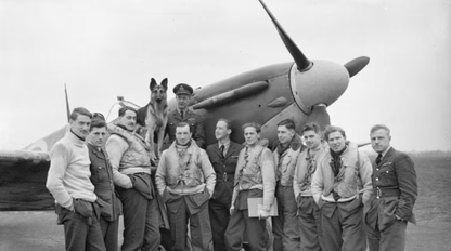 SPITFIRE Model