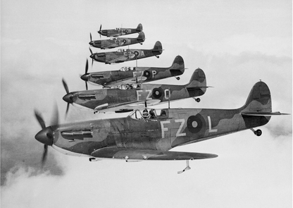 SPITFIRE Model