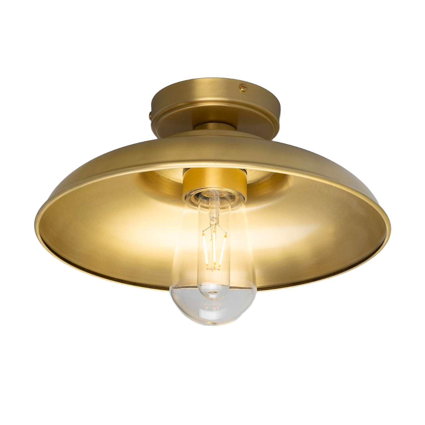 DARYA - Industrial Brass Ceiling Light 32cm IP65
