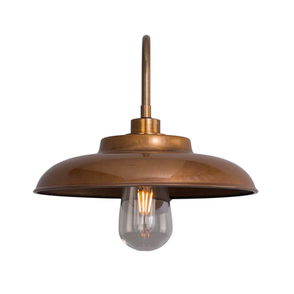 DARYA - Swan Neck Bathroom Wall Light 32cm IP65