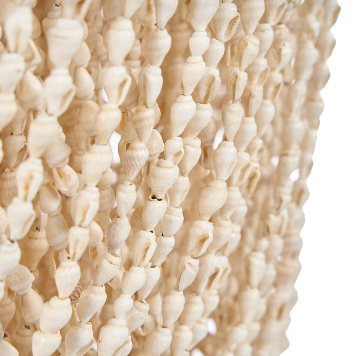 THE LAGOON SHELL CHANDELIER - Natural M