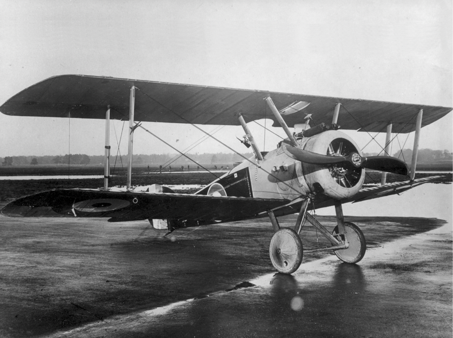 SOPWITH CAMEL - Transparent Model (B: 150cm)