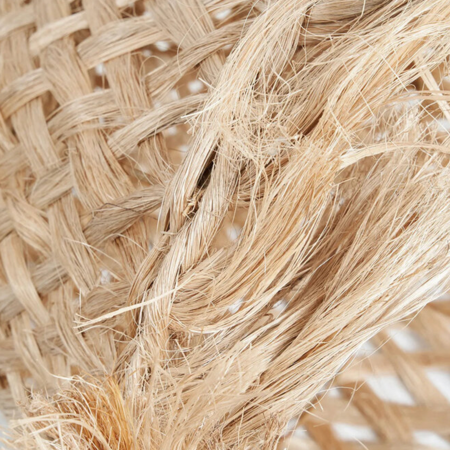 THE ABACA JELLY FISH PENDANT - Natural M