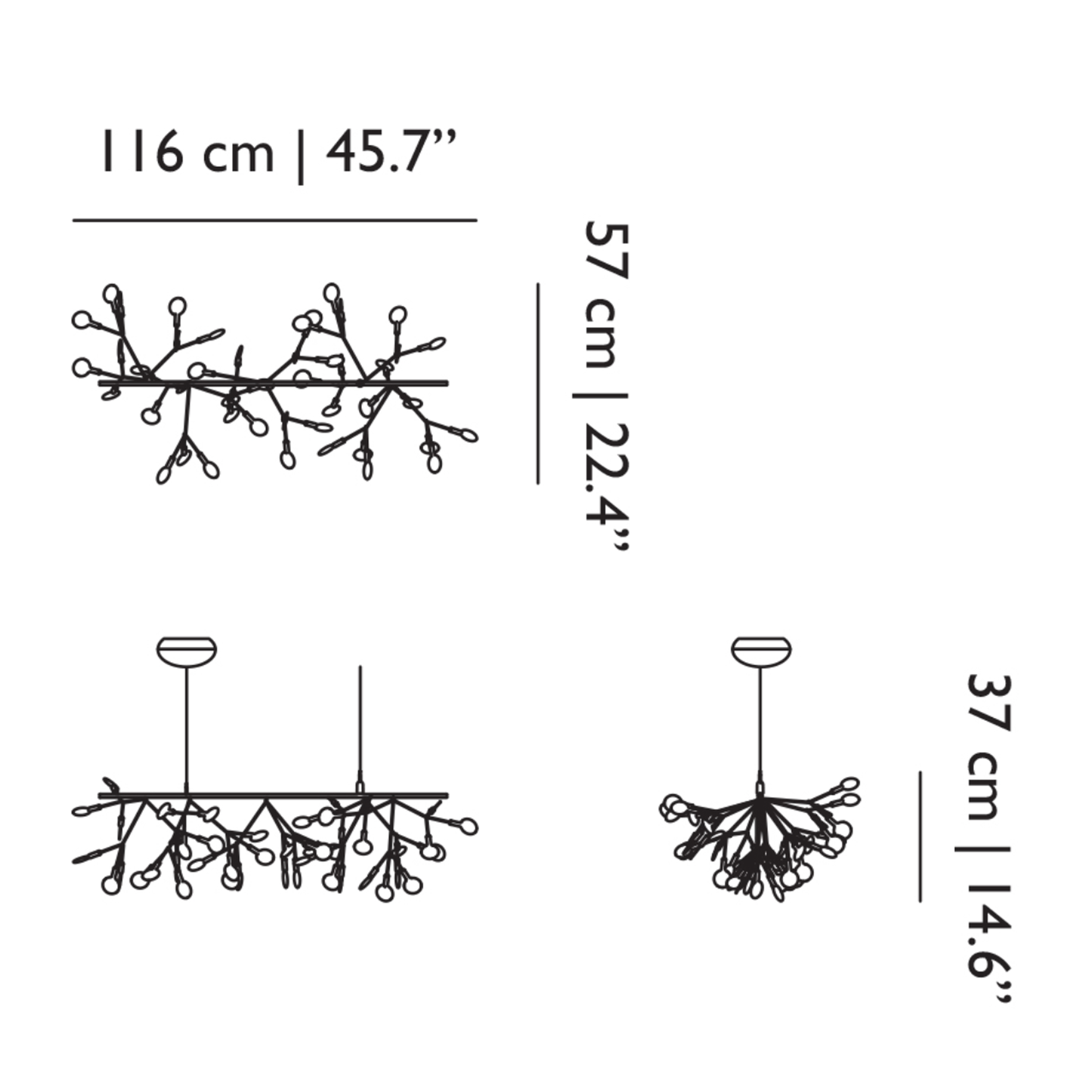 HERACLEUM III  - Endless Pendel